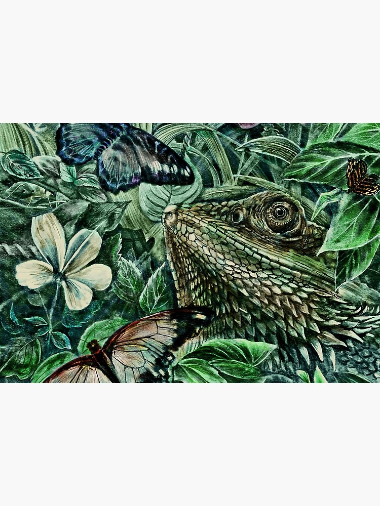 Bearded Dragon and Butterflies - Colour by steveelliott