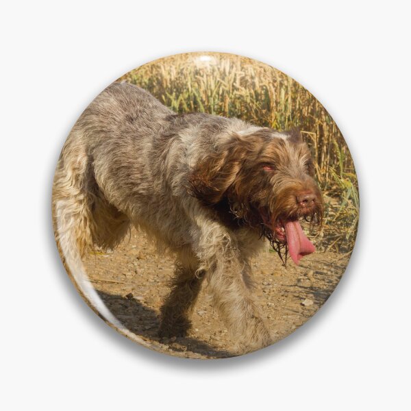 Artikelvorschau, Sommerspaziergang mit Spinone von heidiannemorris entworfen und verkauft von FOLK ART FUSION.