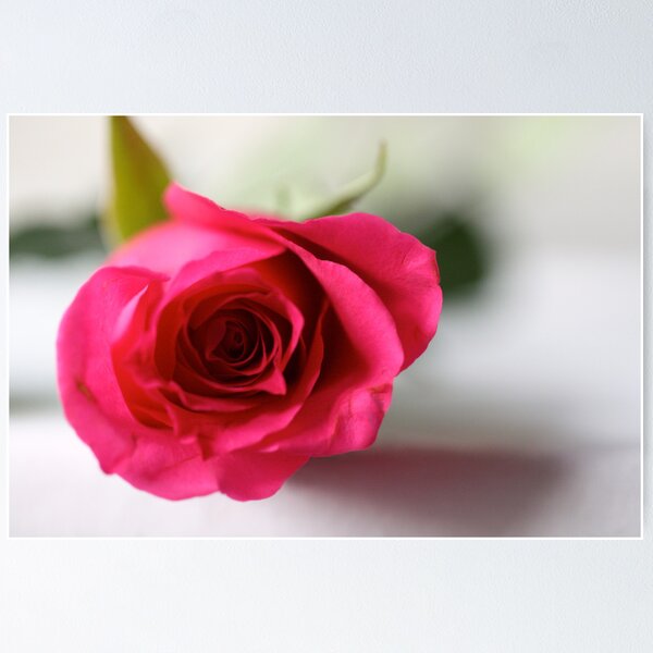 Item preview, Pink Petals designed and sold by Kate Halpin.