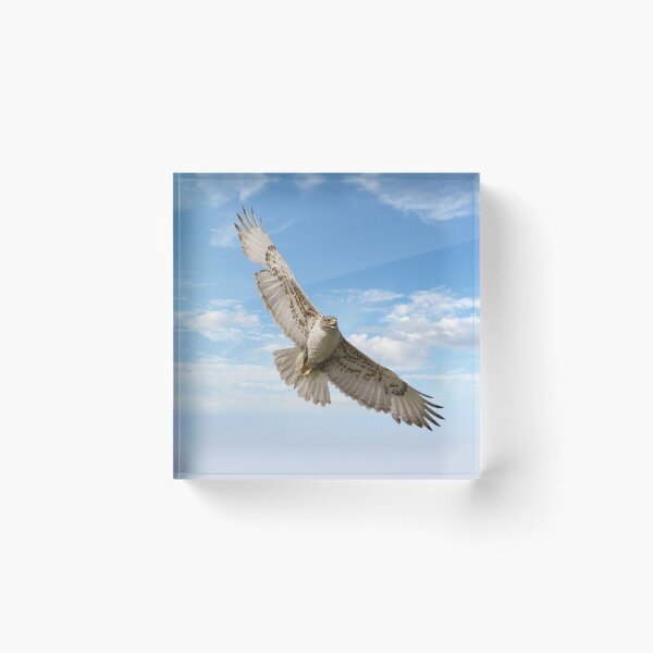 Item preview, The Sky's the Limit ! designed and sold by Barbny.