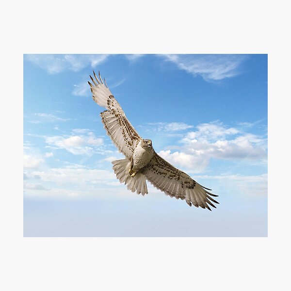 Item preview, The Sky's the Limit ! designed and sold by Barbny.