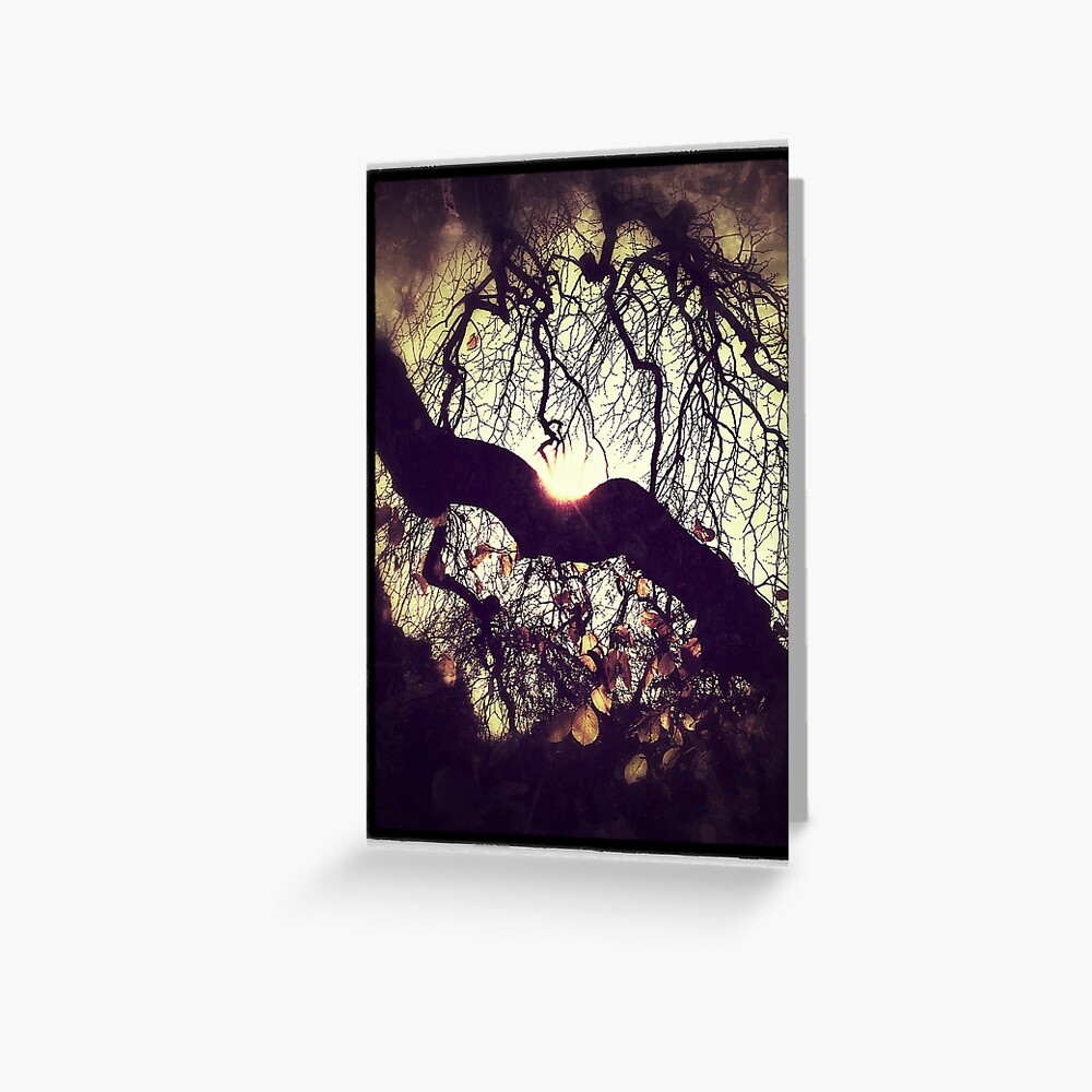 Skeleton Sky Greeting Card