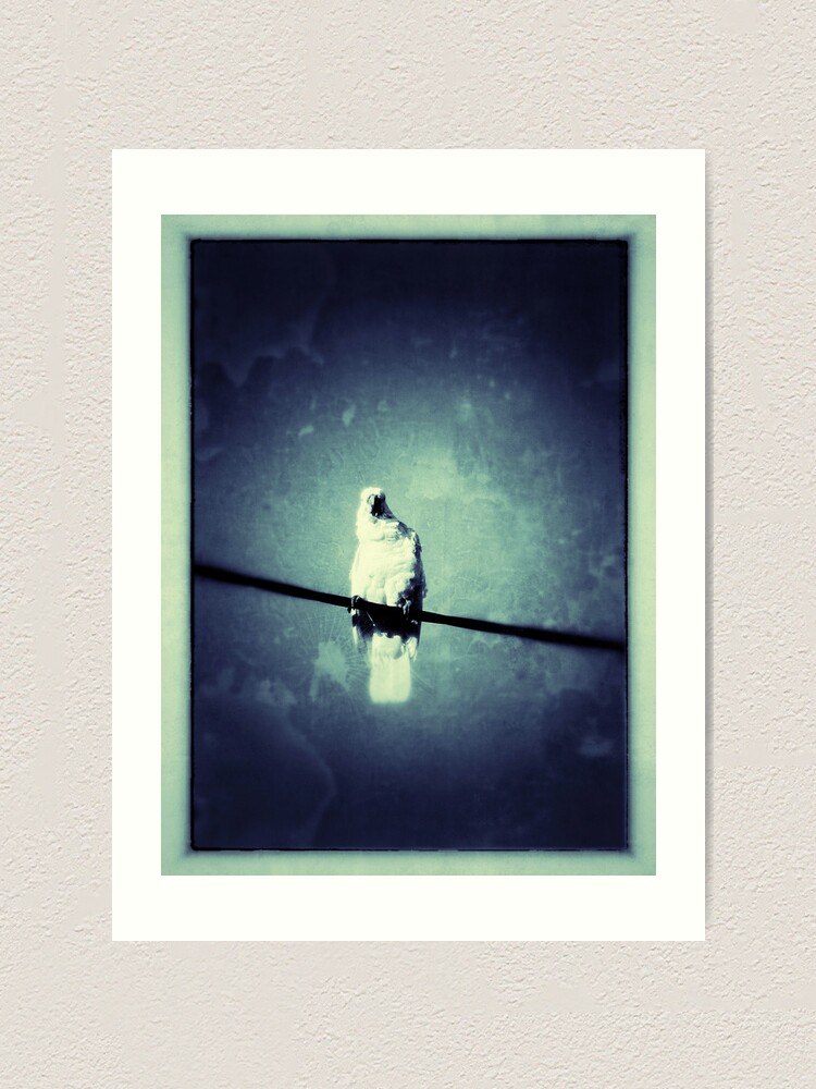 Alternate view of You Looking At Me? Art Print