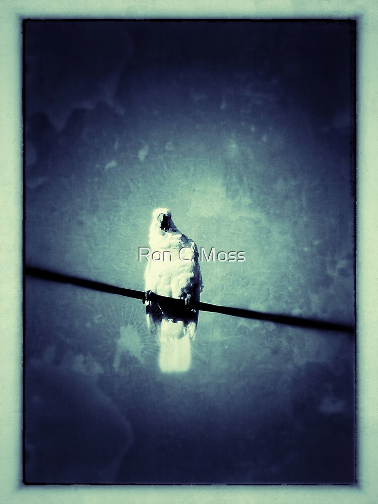 Thumbnail 2 of 2, Greeting Card, You Looking At Me? designed and sold by Ron C. Moss.