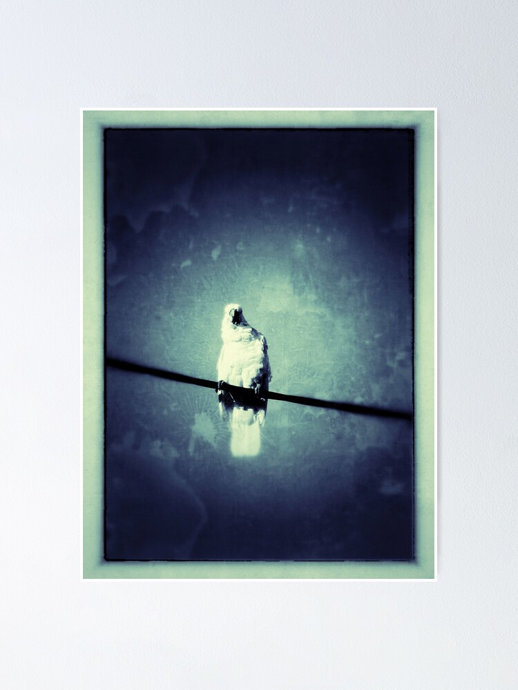 Alternate view of You Looking At Me? Poster