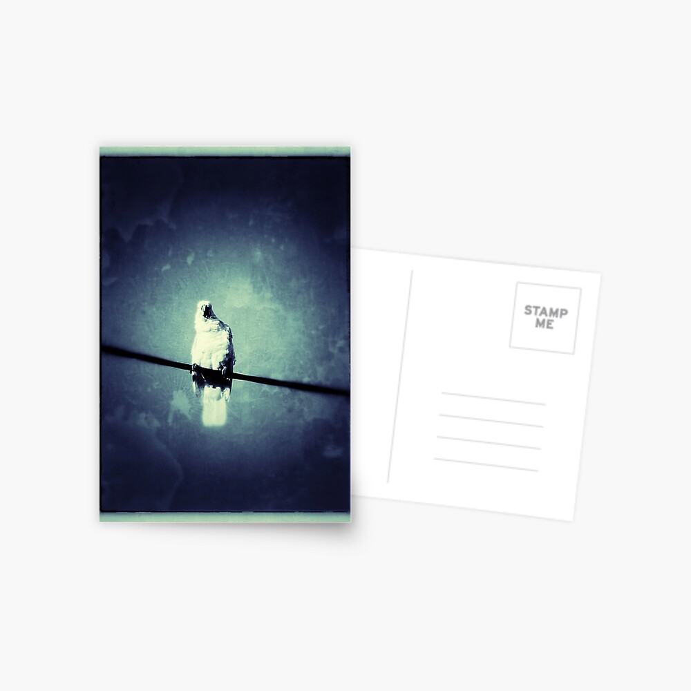 Item preview, Postcard designed and sold by ronmoss.