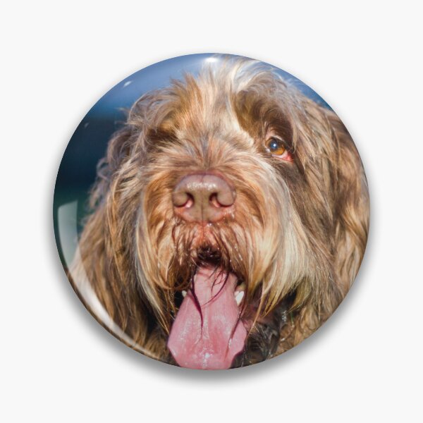 Artikelvorschau, Nachtlächeln Spinone entworfen und verkauft von FOLK ART FUSION.