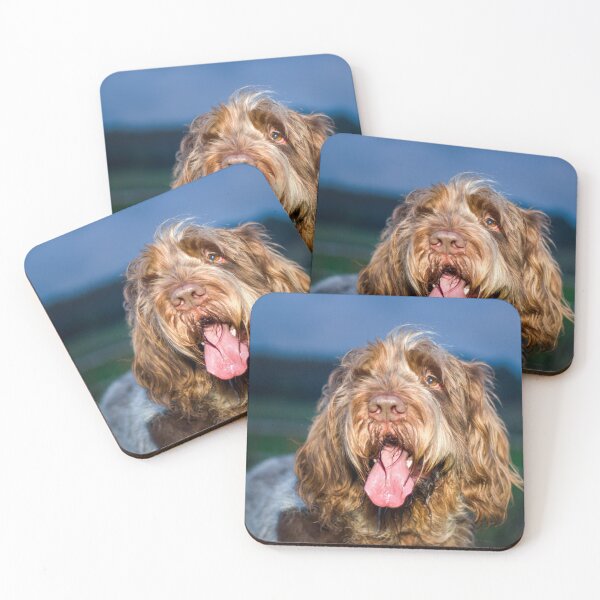 Item preview, Nighttime smile Spinone designed and sold by FOLK ART FUSION by heidiannemorris.