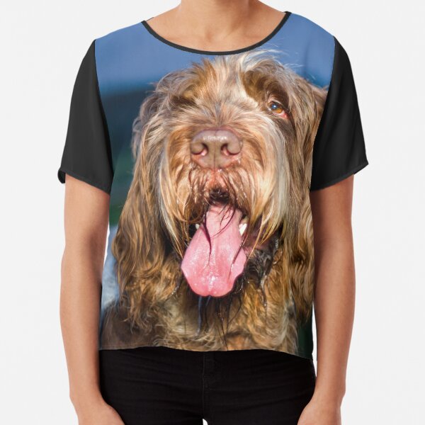 Nighttime smile Spinone Chiffon Top
