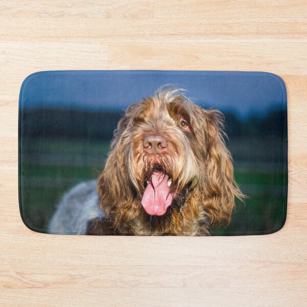 Item preview, Nighttime smile Spinone designed and sold by FOLK ART FUSION by heidiannemorris.