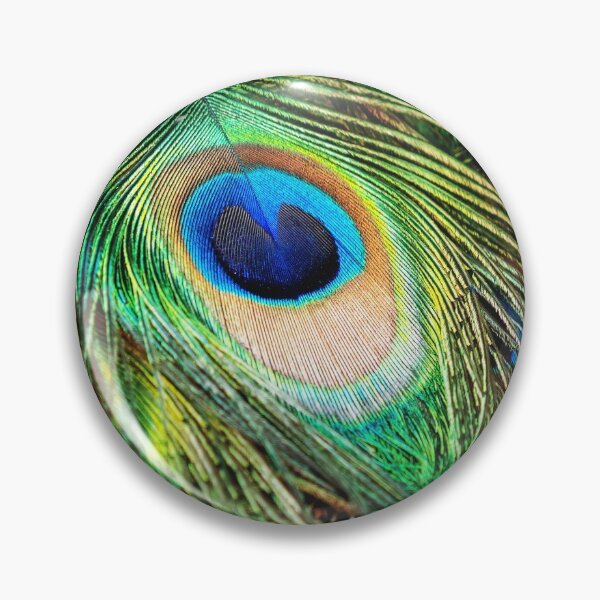 Item preview, Peacock colorful feathers designed and sold by photokot.