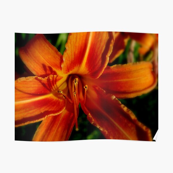 Orange Cookie Posters Redbubble - daylily hair in blonde roblox