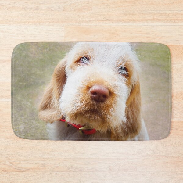 Item preview, Lifetime of love Spinone puppy by heidiannemorris designed and sold by FOLK ART FUSION by heidiannemorris.