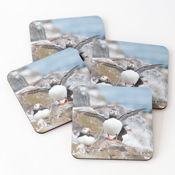 Item preview, Puffin Photography  designed and sold by NatashaBalletta.