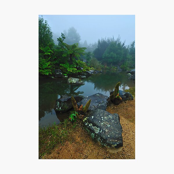 Item preview, Jurassic park designed and sold by Australian Landscapes.