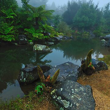 Artwork thumbnail, Jurassic park by Australian Landscapes