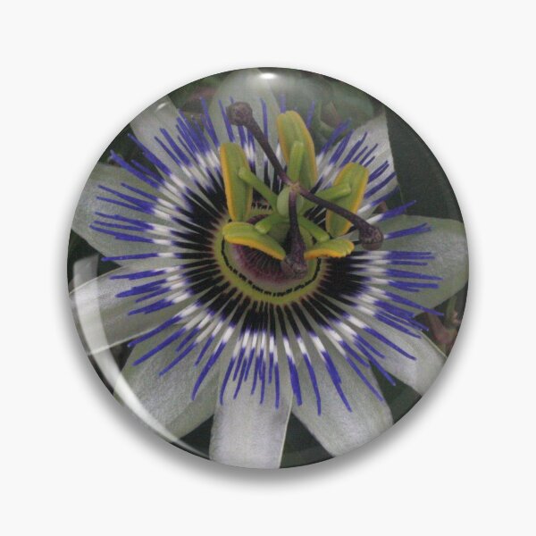 Item preview, Delicate and Beautiful Passiflora Flower designed and sold by taiche.