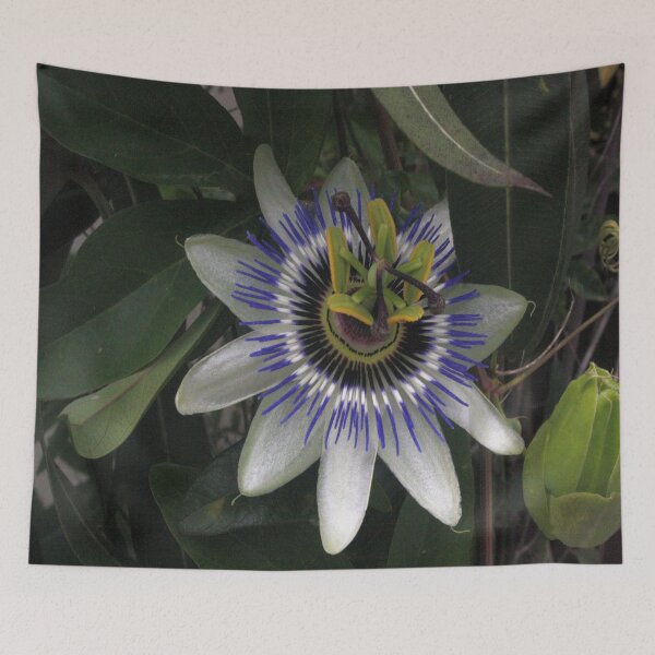 Item preview, Delicate and Beautiful Passiflora Flower designed and sold by taiche.