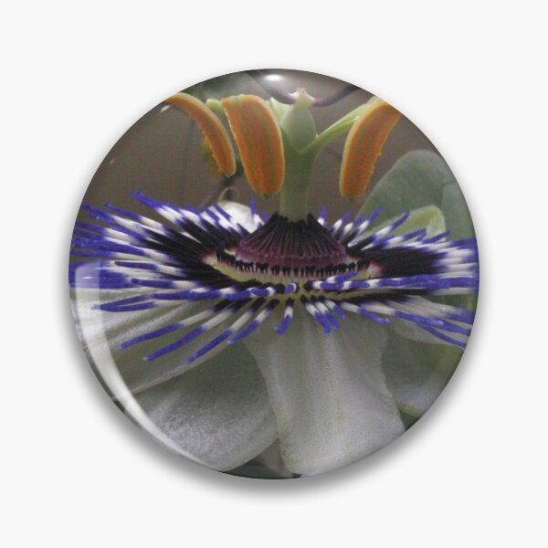 Item preview, Side View of Beautiful Passiflora Flower designed and sold by taiche.