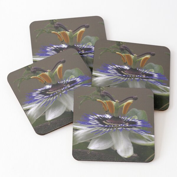 Item preview, Side View of Beautiful Passiflora Flower designed and sold by taiche.