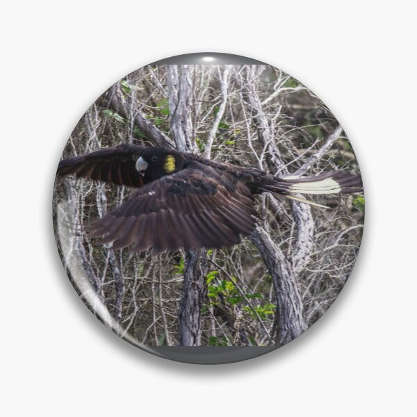 Item preview, Black Cockatoo Flying designed and sold by KazM.