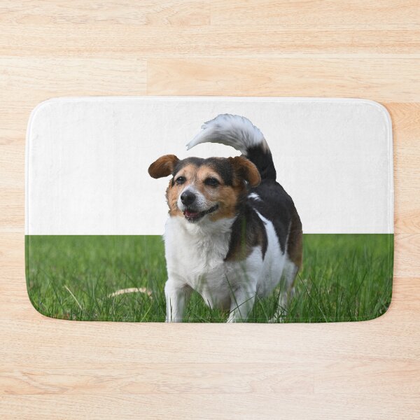 Item preview, Corgi in the park designed and sold by Samvara.