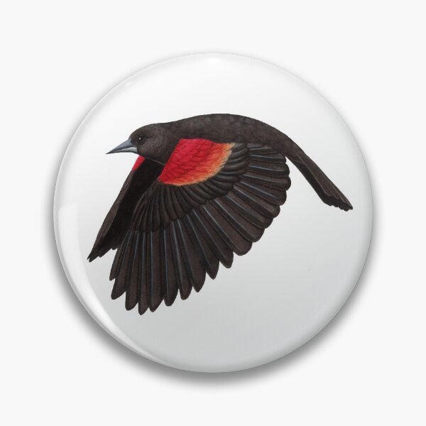 Item preview, Red-winged Blackbird  designed and sold by JadaFitch.