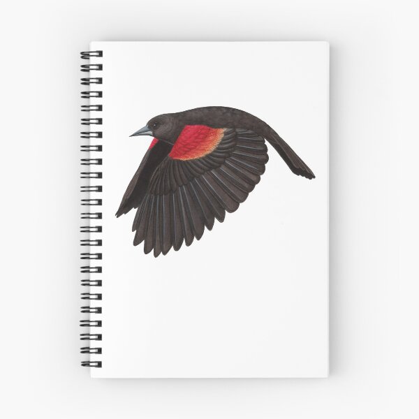 Item preview, Red-winged Blackbird  designed and sold by JadaFitch.