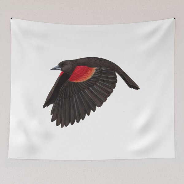 Item preview, Red-winged Blackbird  designed and sold by JadaFitch.