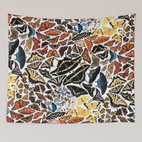 Item preview, Butterflies of North America Pattern designed and sold by JadaFitch.