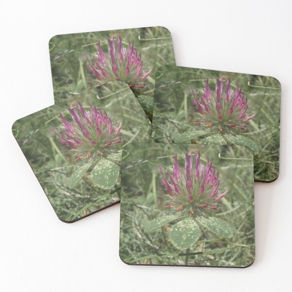 Item preview, Turkish Rose Clover designed and sold by taiche.