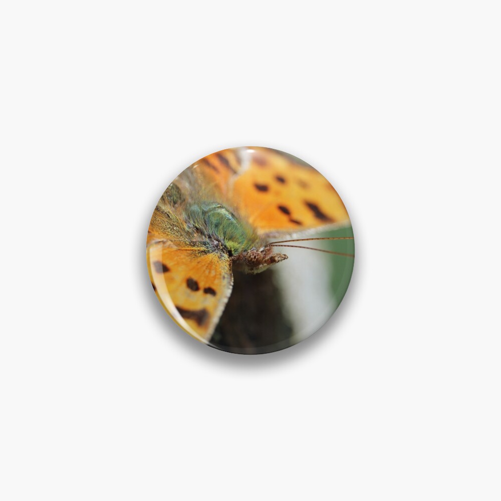 Comma Butterfly Pin