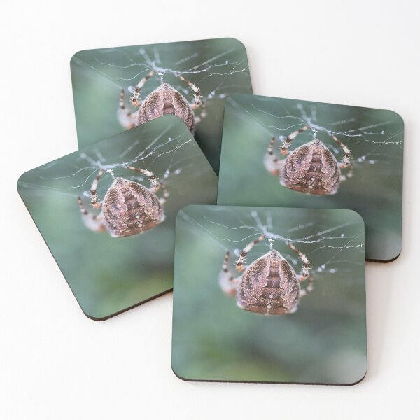 Item preview, Cross Spider Macro 4 - Cute Spiders Gifts designed and sold by r-silver.