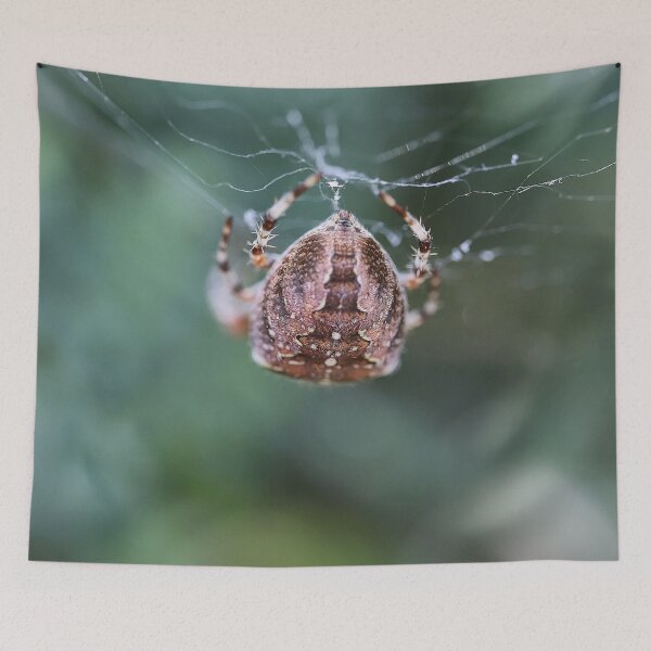 Item preview, Cross Spider Macro 4 - Cute Spiders Gifts designed and sold by r-silver.