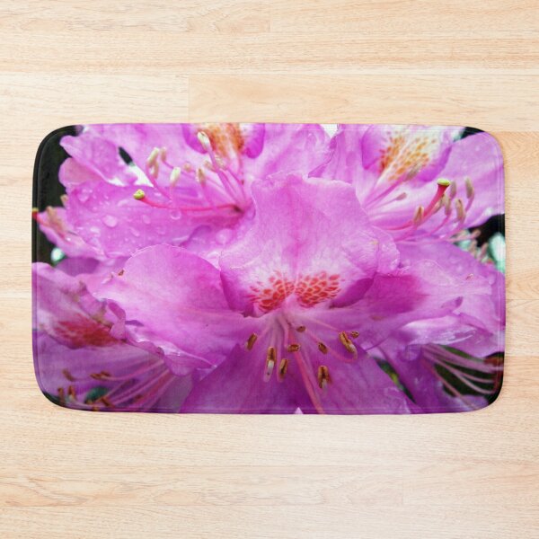 Item preview, Beautiful Pink Rhododendron Pontica designed and sold by taiche.