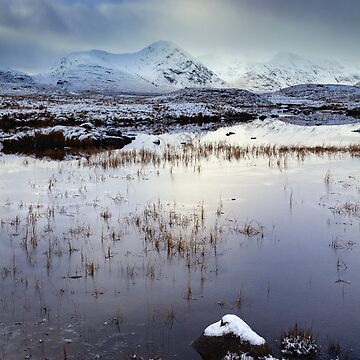 Imagen de la obra Snowy Morning (River Ba) de bitm2007