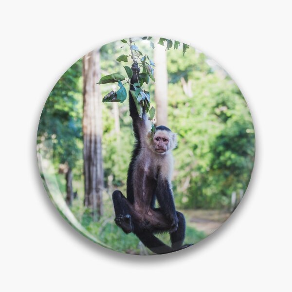Item preview, A white faced capuchin swings from a branch designed and sold by wellsie82.