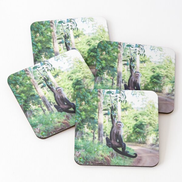 Item preview, A white faced capuchin swings from a branch designed and sold by wellsie82.