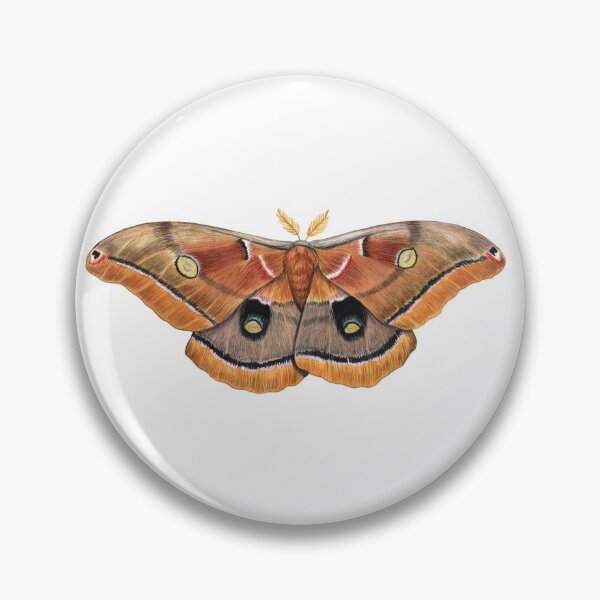 Item preview, Polyphemus Moth (Antheraea polyphemus) II designed and sold by JadaFitch.