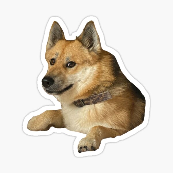 Hello Doge Stickers Redbubble - roblox decals ids doge