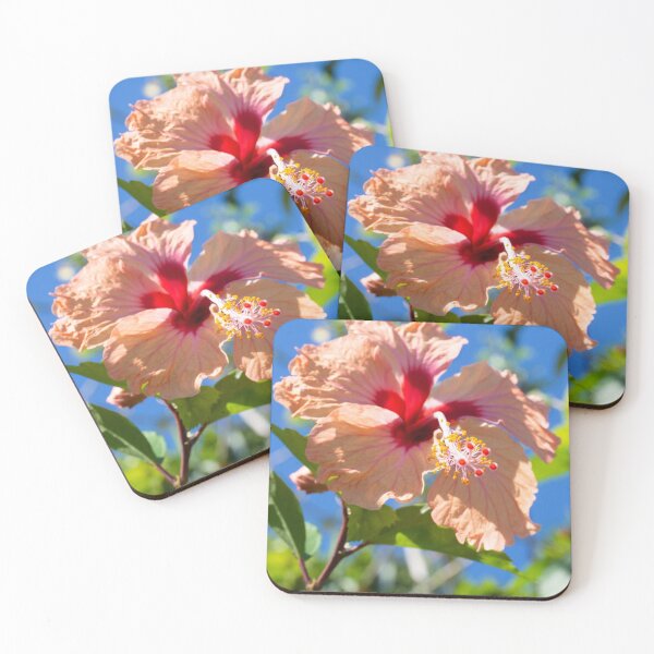 Item preview, Summer Pink Hibiscus Flower designed and sold by Caitlin Chock.