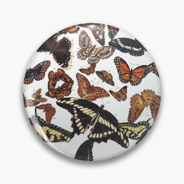 Item preview, Butterflies of Maine Chart designed and sold by JadaFitch.