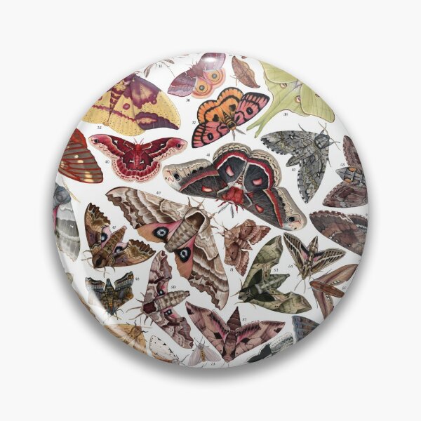 Item preview, Moths of North America designed and sold by JadaFitch.