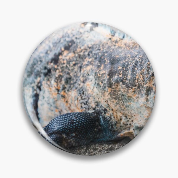 Item preview, Close-up of a black ctenosaur designed and sold by wellsie82.
