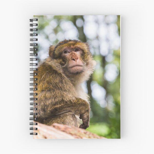 Item preview, Barbary macaque high up in a tree designed and sold by wellsie82.