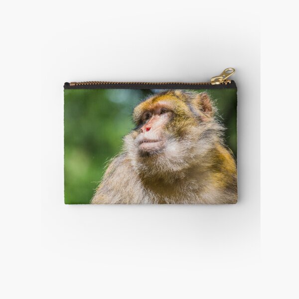 Item preview, Barbary macaque enjoying some sunshine designed and sold by wellsie82.
