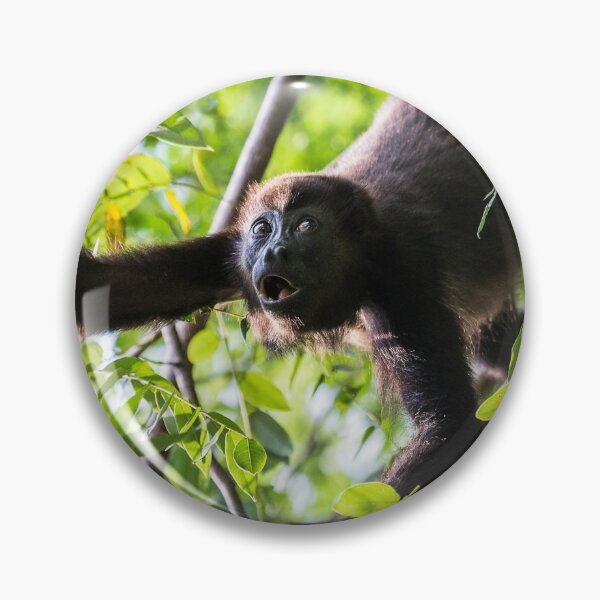 Item preview, Howler monkey reaching out designed and sold by wellsie82.