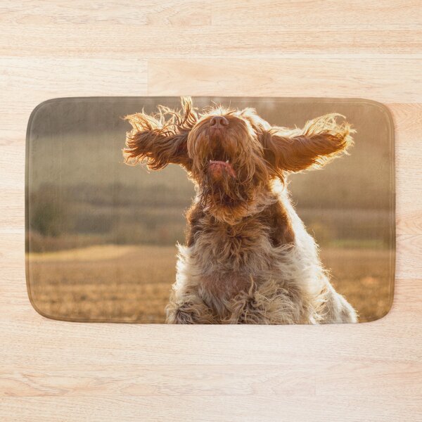 Item preview, Joyful jumping Spinone designed and sold by FOLK ART FUSION by heidiannemorris.