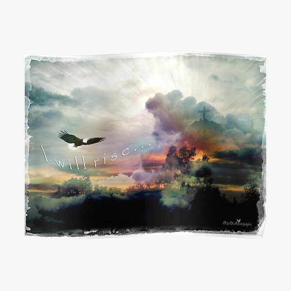 I will rise Poster