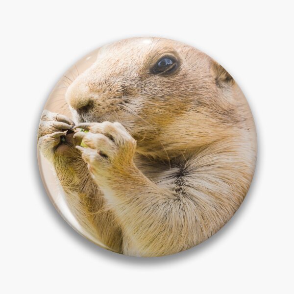 Item preview, Black tailed prairie dog square crop designed and sold by wellsie82.